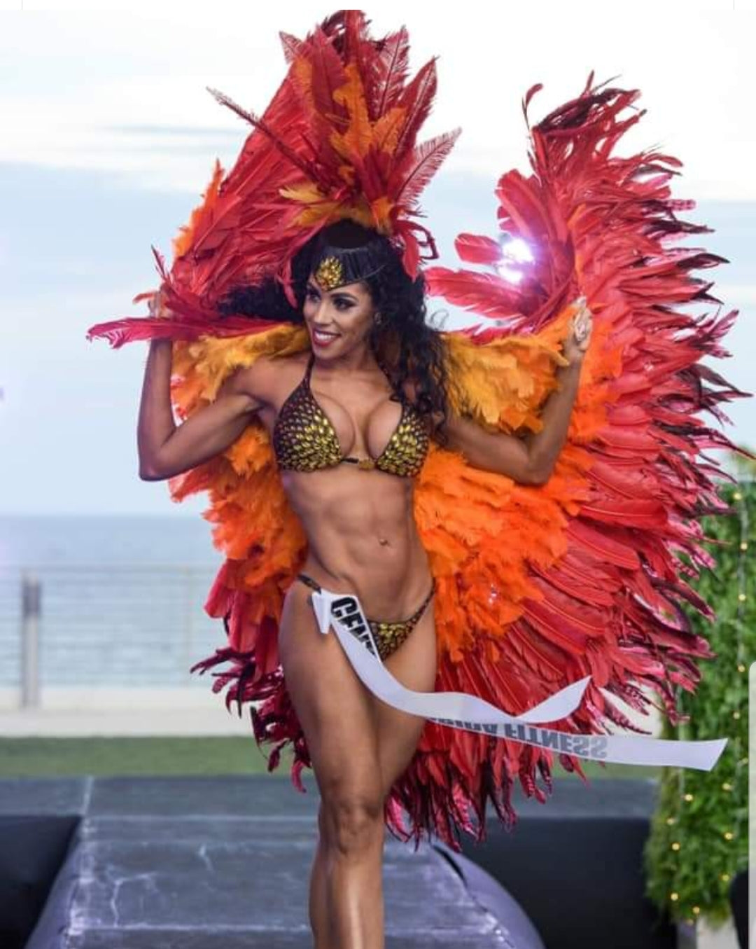 Phoenix Genuine Austrian Crystal Bikini with Headpiece and wing cape.
